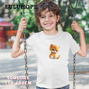 tVc LbYTVc L@˂D@ j̎q ̎q ǂ lR@jZbNX q 킢vg fUCTVc @110|150@^ ւ ĕ 傫TC