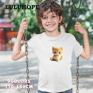 uX[p[SALEzv tVc LbYTVc L@˂D@ j̎q ̎q ǂ lR@jZbNX q 킢vg fUCTVc @110|150@^ 