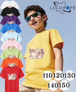 tVc TVcLbY j̎q ̎q ǂ jZbNX q ˂@LD@ۈ牀 ^ ct ւ ĕ 傫TCYTVc Y fB[X  Rbg Jbg\[ 