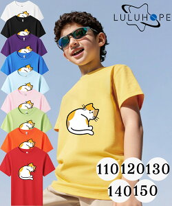 tVc TVcLbY j̎q ̎q ǂ jZbNX q ˂@LD@ۈ牀 ^ ct ւ ĕ 傫TCYTVc Y fB[X  Rbg Jbg\[ 