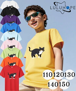 tVc TVcLbY j̎q ̎q ǂ jZbNX q ˂@LD@ۈ牀 ^ ct ւ ĕ 傫TCYTVc Y fB[X  Rbg Jbg\[ 