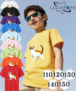 tVc TVcLbY j̎q ̎q ǂ jZbNX q ˂@LD@ۈ牀 ^ ct ւ ĕ 傫TCYTVc Y fB[X  Rbg Jbg\[ 