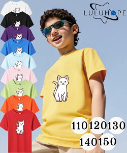 tVc TVcLbY j̎q ̎q ǂ jZbNX q ˂@LD@ۈ牀 ^ ct ւ ĕ 傫TCYTVc Y fB[X  Rbg Jbg\[ 