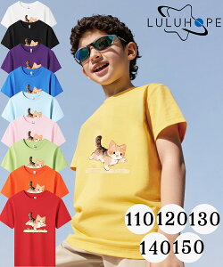 tVc TVcLbY j̎q ̎q ǂ jZbNX q ˂@LD@ۈ牀 ^ ct ւ ĕ 傫TCYTVc Y fB[X  Rbg Jbg\[ 