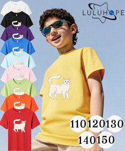 tVc TVcLbY j̎q ̎q ǂ jZbNX q ˂@LD@ۈ牀 ^ ct ւ ĕ 傫TCYTVc Y fB[X  Rbg Jbg\[ 