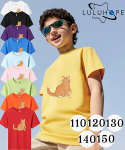 tVc TVcLbY j̎q ̎q ǂ jZbNX q ˂@LD@ۈ牀 ^ ct ւ ĕ 傫TCYTVc Y fB[X  Rbg Jbg\[ 