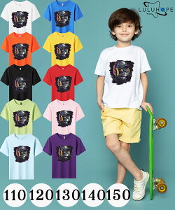 []tVc LbY TVc j̎q ̎q ǂ ˂@LD jZbNX q ۈ牀 ^ ct ւ ĕ 傫TCYTVc Y fB[X  Rbg J