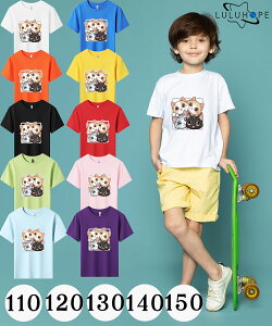 []tVc LbY TVc j̎q ̎q ǂ ˂@LD jZbNX q ۈ牀 ^ ct ւ ĕ 傫TCYTVc Y fB[X  Rbg J