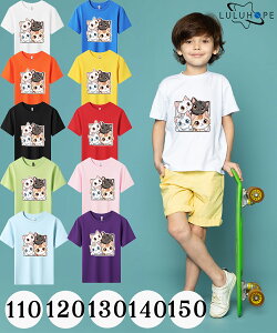 []tVc LbY TVc j̎q ̎q ǂ ˂@LD jZbNX q ۈ牀 ^ ct ւ ĕ 傫TCYTVc Y fB[X  Rbg J