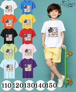 []tVc LbY TVc j̎q ̎q ǂ ˂@LD jZbNX q ۈ牀 ^ ct ւ ĕ 傫TCYTVc Y fB[X  Rbg J