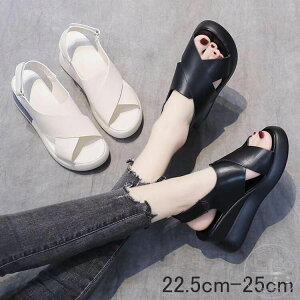 RtH[gT_ fB[X V[Y C q[ T_ T_ RtH[gV[Y  i[XV[Y EFbWT_ EFbW\[ xg Xgbv 傫