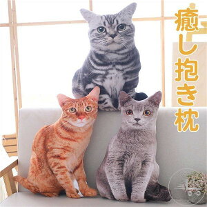 uX[p[SALEzv AL ʂ lRNbV 50cm 킢 AJV[gwA VAu[ g tt A  L ߋ