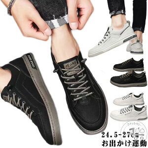 C  Xj[J[ Y ^ Vv y d@V[Y ʊw zCg ʋ JWA wZ y