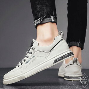 V C  Xj[J[ Y ^ Vv y d@V[Y ʊw zCg ʋ JWA wZ y