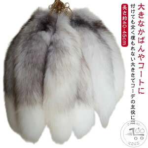 40 `[ L[z_[ t@[ obO`[  12 O[ 45 ANZT[  O[ K 