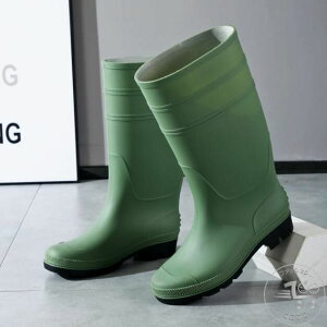 C Y C  ނ ʊw ʋ Sh TCY 傫TCY J   y O ~p LbY fB[X