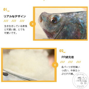 100cm ObY  av[g G ʔCeA 킢 \t@[NbV ܂   A