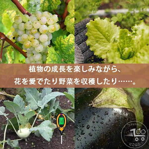 V pHv y[n[ g fW^ @\ A琬 S ͔| ƒ؉ | _x  ph }` y_xv 4in1