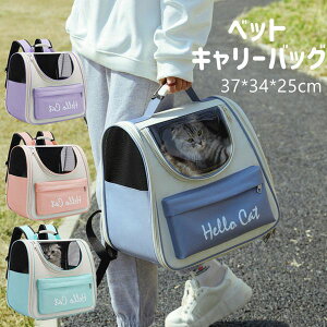 ybgobNpbN bN bNTbN ybgobO  L L[ ybg obO ybgL[ P[X  킢   obNpbN L[P[X ybgp U