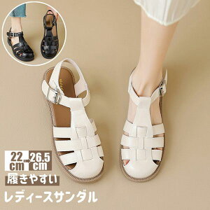 uX[p[SALEzv fB[X T_ ėp 킢  r T_ ʋ ItBX l C V[Y ĕ Ȃ q[2cm ~ ɂȂ  ig ubN x[W