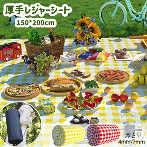 W[V[g sNjbNV[g q   傫  200150 NbV ƃsNjbN Ǝ ^ sNjbN 4-6lp h 􂦂 킢 Ԍ V[g  L L