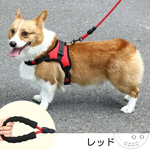 V [h JWA  ^ ^ ^ P g[jO ̃[h ybgp[h  ybg [h U p  P g[jO n[lX [hZbg y