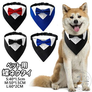 uX[p[SALEzv ybgEFA tH[} 悾^I ܎O RXv ߑ RX`[ L ^  hbOEFA ̕ ^ m   ybg p  q pi 