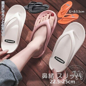 Xbp T_ r[`T_ @ Xbp ~  O T_ fB[X [T_  RtH[gT_  r[` AEghA V[Y C ~ 