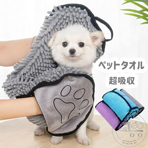 ybgp ^I oX^I  L C V[ Vv[ z ^I g₷ sN u[ O[ z Lp hC[̑O 62*23cm