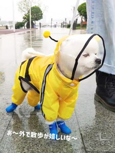 V  CR[g ybg ybg C  ybgEFA ybgpCR[g JC[W[ CEFA Xqt K h ʋC  U  h ybg o ~J