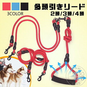 ���p�����������[�h ���[�h 2������ 3������ 4������ �_�u�����[�h �y�b�g���[�h �U�����^ ���^�� �������� �y�b�g�p�i ������� ���� ���o�|�� �U���O�b�Y ���o���� �l�C ���p �� �����p 