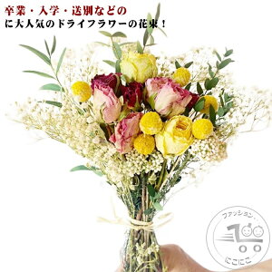 uX[p[SALEzv hCt[ ԑ u[P ̓ v[g a j Ԃ Mtg LO  킢 lC  蕨  uC_ sAm\  