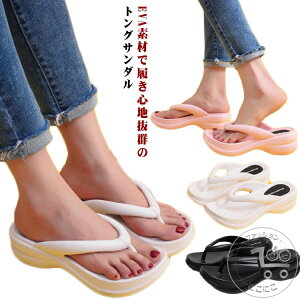 gOT_ fB[X  r 6cmq[ EVA r[`T_ ɂȂ ₷ Ȃ ؂  ₷ x_ AEghA W[ v[