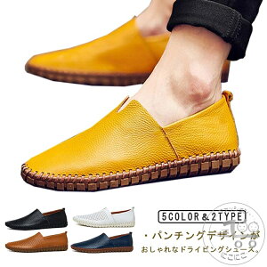 hCrOV[Y Y Xb| C Y vC U[ [t@[ ʋC Iׂ2^Cv 傫TCY ^] ₷  y  _炩 \[ hCu x t 