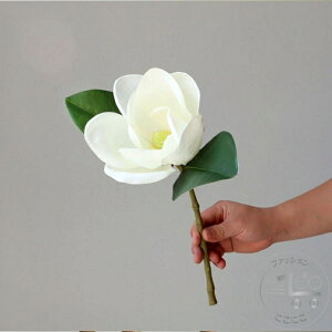 V   }OmA AI 2{Zbg zCg}OmA N ؘ@ p dp Q  ͂Ȃ O ~ @ N@v  O @  ̓