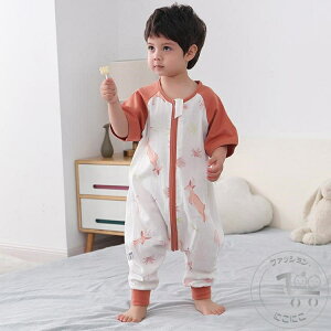 V X[p[ LbY xr[X[p[ K[[X[p[  OJ _炩 Q pW} Ԃ V  Rbg WbvAbv Q [EFA p[X xXg xr