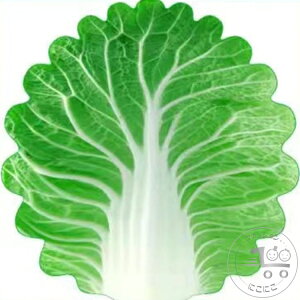 V  xr[ V  Xqt xr[Q uPbg P[v  85cm×85cm oYj j[{[tHg  ѕz ʔ ʐ^Be LOʐ^ QA[g