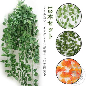 tFCNO[ 12{Zbg ACr[ |gX O[v ϗtA  A JtF  rO Lb` 킢 ݂艺 炷 t  CeA Ǌ| fBXvC 