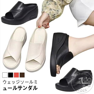 ~[ fB[X EFbW\[ T_ ~[T_  T_ ItBXT_ 5cmq[ ₷  傫TCY t 