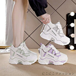 V Cq[Xj[J[ fB[X Xj[J[  r V[NbgV[Y V[Y [XAbv 7-8cm q[Abv y gAbv