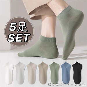 C5Zbg Y ėp bV\bNX z Ȃ t   ʋC X|[c  jO StC