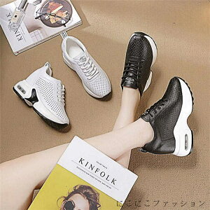 Xj[J[ fB[X Cq[Xj[J[ EH[LOV[Y r V[NbgV[Y y V[Y [XAbv 5cm q[Abv r ɂ gAbv