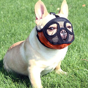 V y2^Cvz  }Y Z@̌ Z ̃}Y J h~ EH~ }XN bV ݃OZ ʋCQ p}Y   ʖi ݂