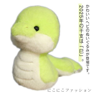 V ւ  킢 ʂ N ߘa7N  40cm ʂ wr 2025N ւ VN N x  wr̐Ԃ o^Cf[ qǂ a v[