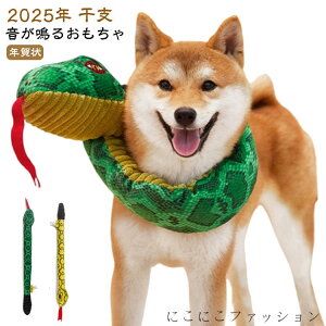 wr ʂ wr    pXk[h ʂ N _炩 蕨 2025N x ւ  N LOBe LpXJ[t ^s XgXObY n