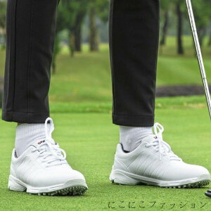 V C hS V[Y C StV[Y jp K am ɂ ~ y o[\[ fB[X o[\[ V[Y C \tgXpCN C ʋC V[Y h 