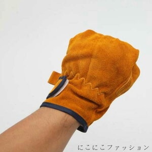 V ω΃O[u ϔMO[u ϔM Lv LvO[u v h  Lvpi AEghA 45cm {v ϔM IW t[TCY Ɨp BBQ o[xL 