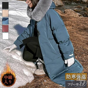 ȃR[g fB[X _ER[g ȃWPbg _EWPbg O t[ht t@[t n JWA  i