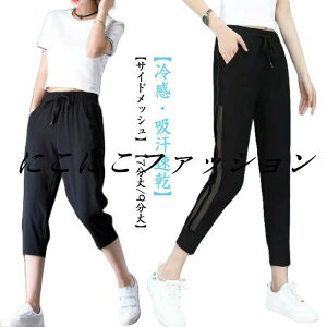    ڐG⊴ 7/9 Nbvhpc fB[X Ђ Nbvhpc e[p[hpc X|[c z {gX JWA TChbV X|[cEFA 