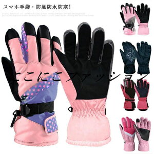 Xm[{[hO[u h O[u  fB[X {A Y g ۉ N h  Xm[{[hO[u XL[O XL[O[u ʋ ʊw ] 킢 